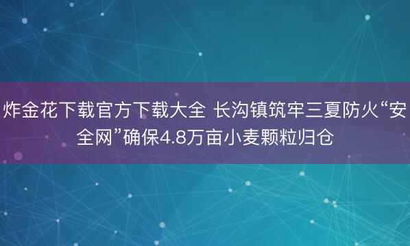 炸金花下载官方下载大全 长沟镇筑牢三夏防火“安全网”确保4.8万亩小麦颗粒归仓