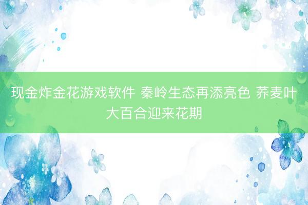 现金炸金花游戏软件 秦岭生态再添亮色 荞麦叶大百合迎来花期