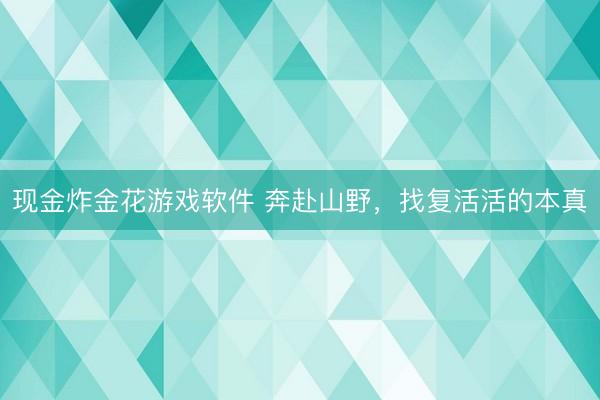 现金炸金花游戏软件 奔赴山野，找复活活的本真