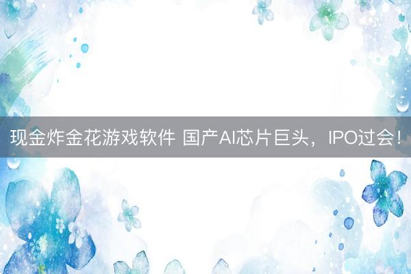 现金炸金花游戏软件 国产AI芯片巨头,IPO过会!