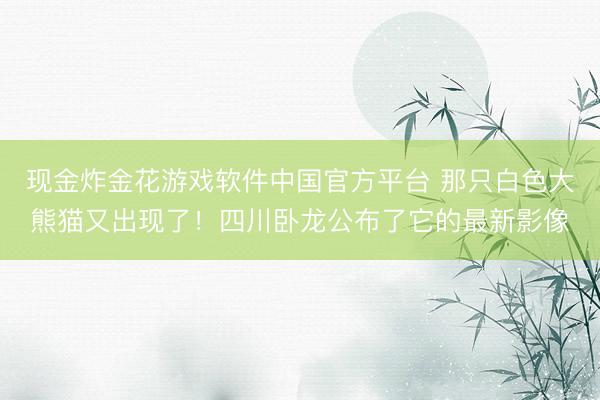 现金炸金花游戏软件中国官方平台 那只白色大熊猫又出现了！四川卧龙公布了它的最新影像