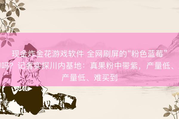 现金炸金花游戏软件 全网刷屏的“粉色蓝莓”是确切吗?记者实探川内基地:真果粉中带紫,产量低、难买到